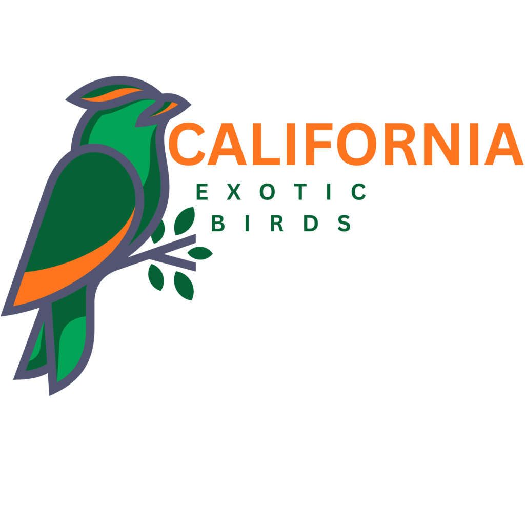 Buy exotic birds california